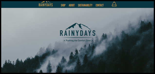 a screenshot of rainydays website